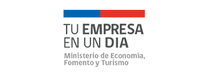 Tu empresa en un día